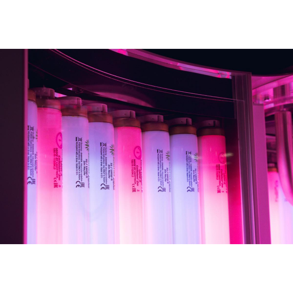 Коллатэнарий "Fire-Sun Galaxy 54*230"