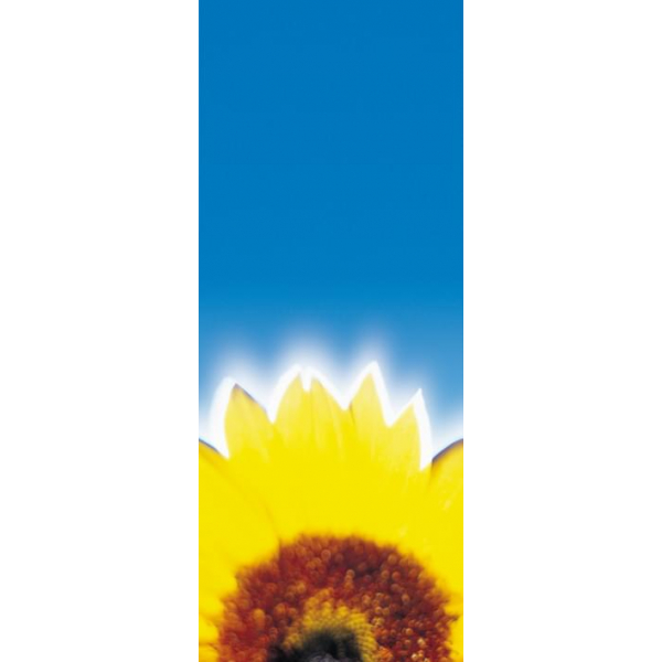 Солярий-Коллагенарий TWIN T2